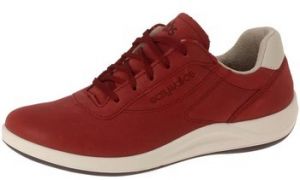 Derbie TBS  Baskets