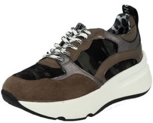 Derbie Meline  Baskets