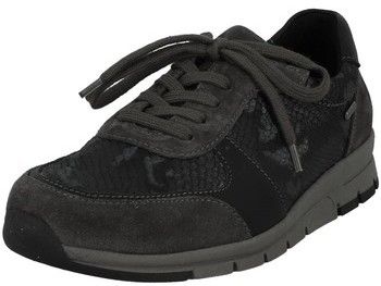 Derbie Westland  Baskets