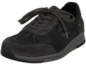 Derbie Westland  Baskets
