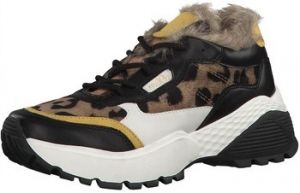 Derbie Rohde  Baskets
