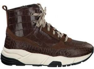 Derbie Tamaris  Baskets