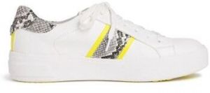 Derbie Tamaris  Baskets