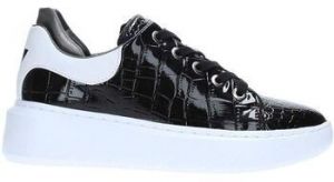 Derbie Guess  Baskets