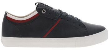 Derbie Levis  Baskets