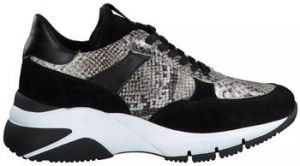 Derbie Marco Tozzi  Baskets
