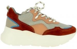 Derbie Bronx  Baskets