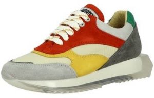 Derbie Bronx  Baskets