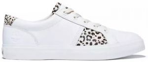 Derbie Timberland  Baskets SKYLA BAY OXFORD PRO