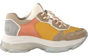 Derbie Bronx  Baskets