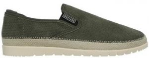 Derbie Mustang  Baskets