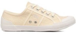 Derbie TBS  Baskets