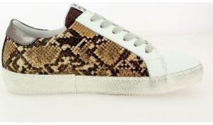 Derbie Meline  Baskets