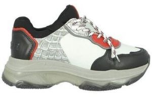 Derbie Bronx  Baskets