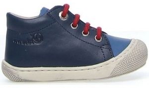 Módne tenisky Naturino  Baskets