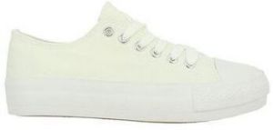 Derbie Les Petites Bombes  Baskets
