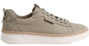 Derbie Tamaris  Baskets