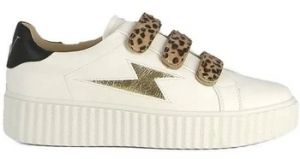 Derbie Vanessa Wu  Baskets