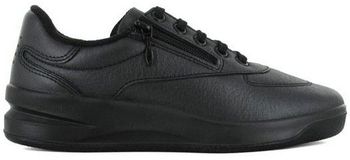 Derbie TBS  Baskets BRAZIP2