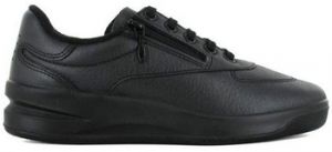 Derbie TBS  Baskets BRAZIP2