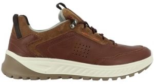 Derbie TBS  Baskets LINDOLE