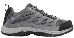 Derbie Columbia  Baskets CRESTWOOD W