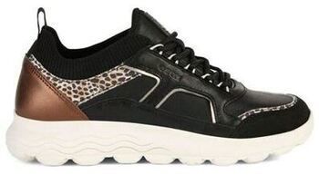 Derbie Geox  Baskets D SPHERICA C