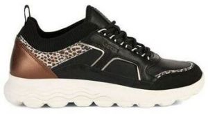 Derbie Geox  Baskets D SPHERICA C
