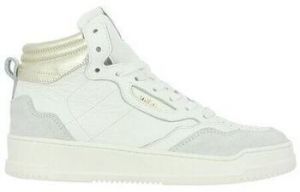 Derbie Semerdjian  Baskets VALE