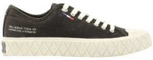 Derbie Palladium  Baskets PALLA ACE CVS