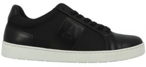 Derbie Azzaro  Baskets CARLINO