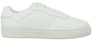 Derbie Azzaro  Baskets PROPICE