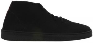 Derbie Ector  Baskets BLIZZARD
