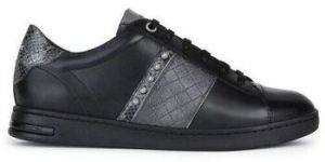 Derbie Geox  Baskets D JAYSEN