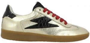 Derbie Semerdjian  Baskets HOV