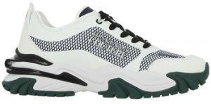 Derbie Versace  Baskets 75YA3SIB
