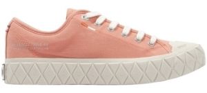 Derbie Palladium  Baskets PALLA ACE CVS