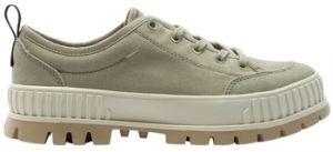 Derbie Palladium  Baskets PALLASHOCK LO ORG 2