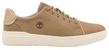 Derbie Timberland  Baskets SENECA BAY LOW LACE UP