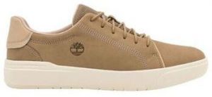 Derbie Timberland  Baskets SENECA BAY LOW LACE UP
