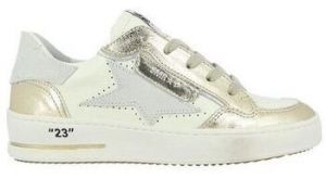 Derbie Semerdjian  Baskets ALE
