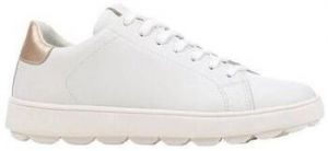 Derbie Geox  Baskets D SPHERICA ECUB-1