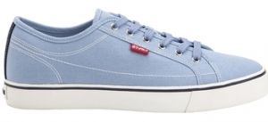 Derbie Levis  Baskets HERNAN