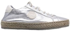 Derbie Pataugas  Baskets PAM M F2H