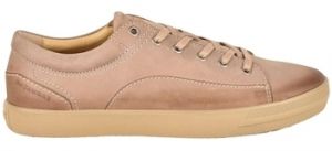 Derbie Pataugas  Baskets NEW CARL NU H2I
