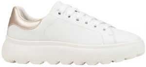 Derbie Geox  Baskets D SPHERICA EC4.1