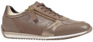 Derbie Geox  Baskets D CALITHE