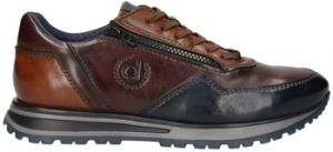 Derbie Bugatti  Baskets PHILIP