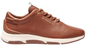 Derbie TBS  Baskets JAZZRUN