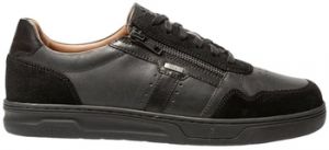 Derbie TBS  Baskets THEOZIP